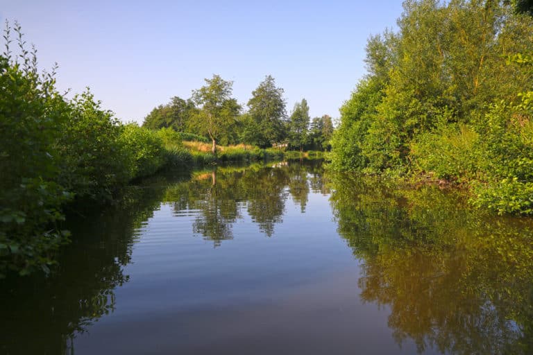 Etang de pêche La Gaule Torignaise