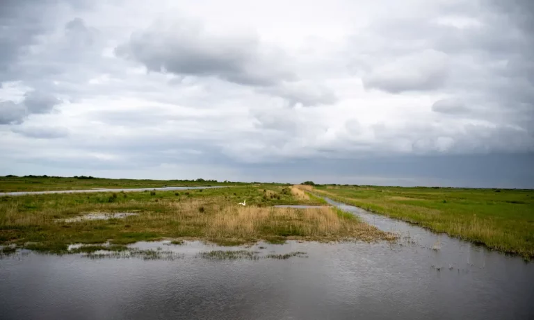 Réserve naturelle de Beauguillot dans le parc régional des Marais du Cotentin